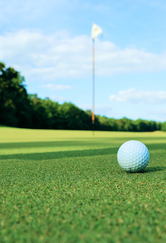 Гольф-клуб Crystal Lakes Golf & Country Club в Доброграде