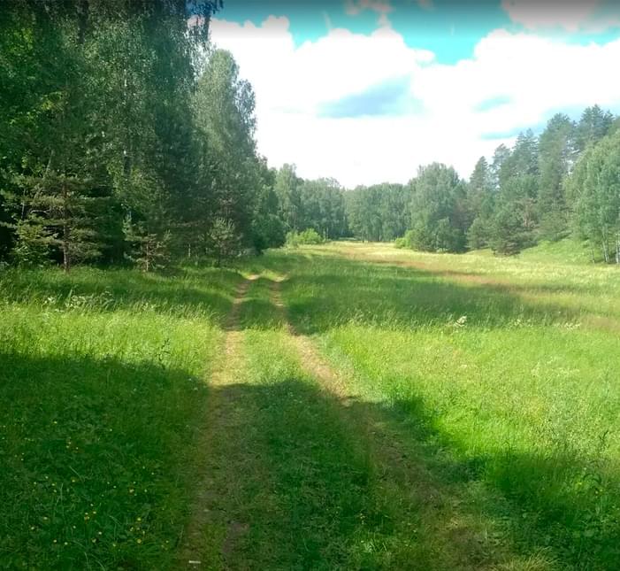 Медынцево - Алачино