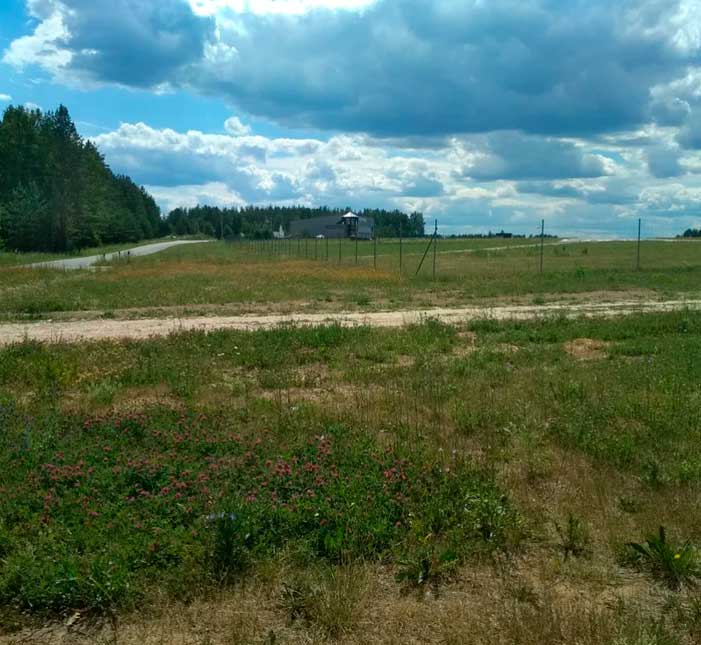 Аэродром - Ельниково