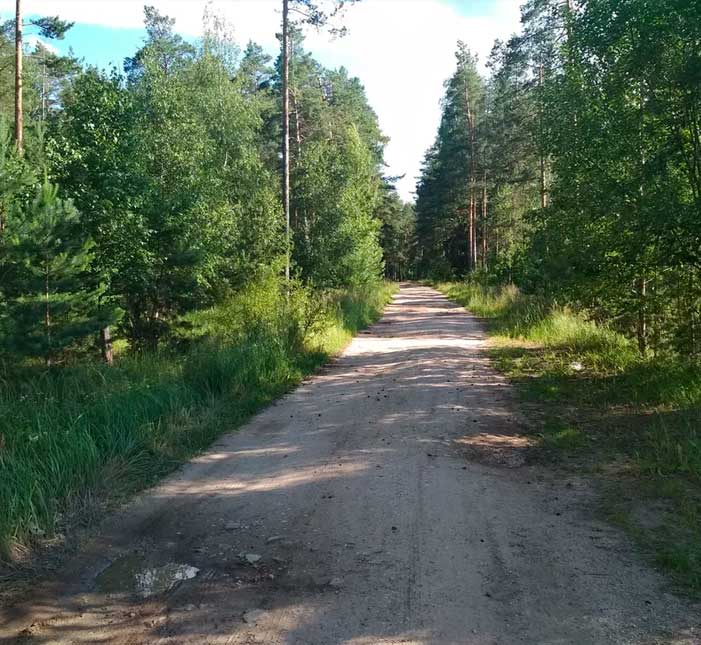 Новый - Великово