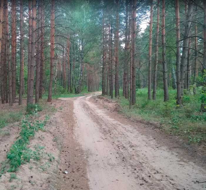 Погост - Бабенки