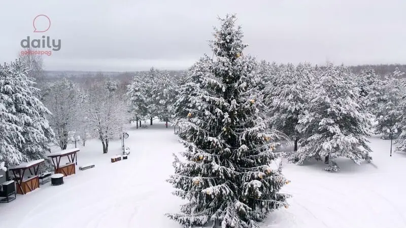 Зима в Доброграде