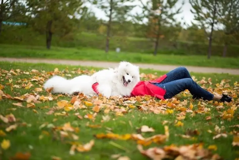 Осень в Доброграде